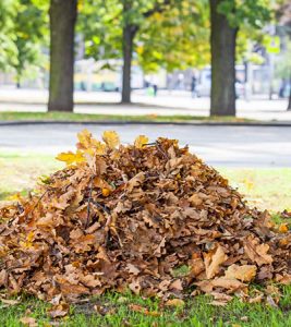 Yard Waste Collection – Upper Merion Township