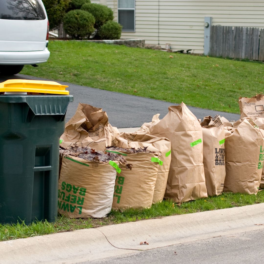 The 2022 Fall Leaf Collection Program kicks off October 31