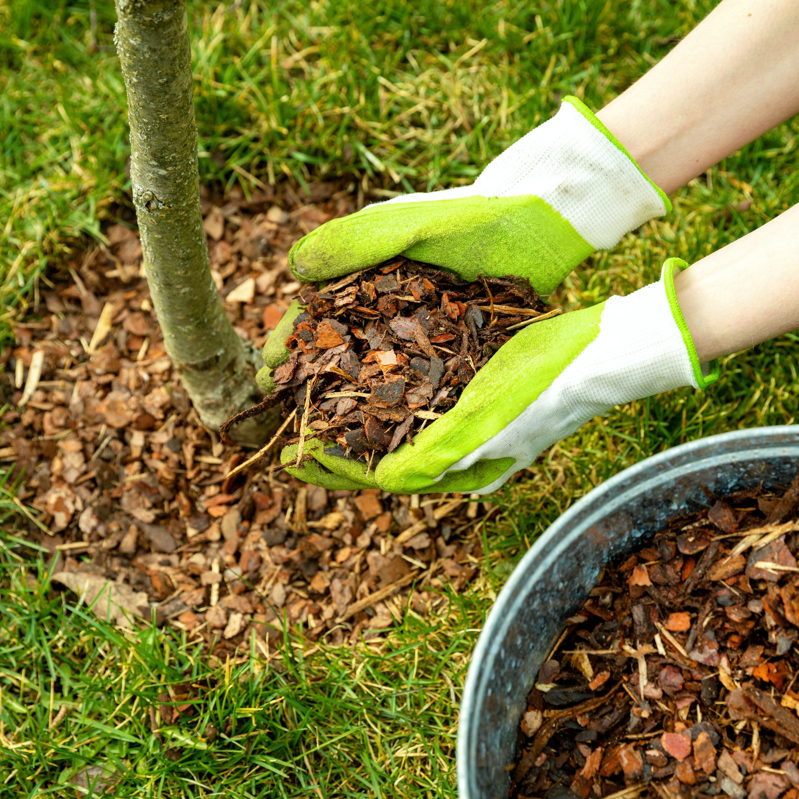 RAIN DATE ACTIVATED! Volunteer for Upper Merion Park Partners Spring Tree Weed and Mulch Event